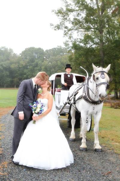 Horse and Carriage for Bride and Groom